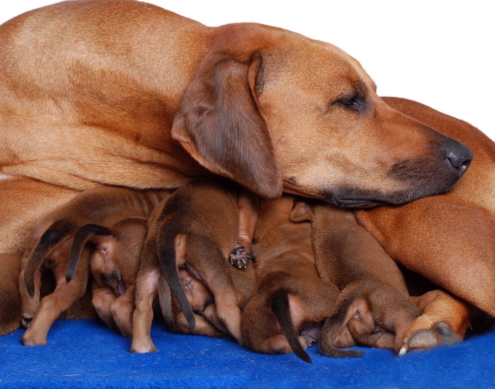 Question of the Week